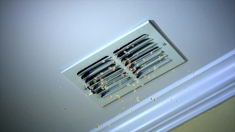 Best Ventilation Cleaning Services  in Oakdale, LA