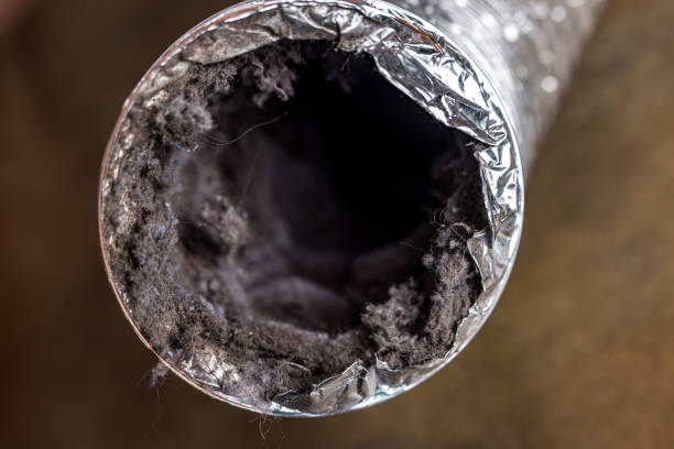 Best Affordable Duct Cleaning Services  in Oakdale, LA